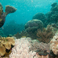 IMG_4840.jpg