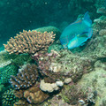 IMG_4842.jpg