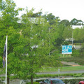 IMG_2536.JPG