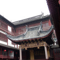 IMG_4963.jpg