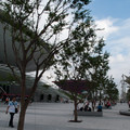 IMG_4971.jpg