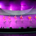 IMG_4987.jpg