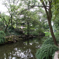 IMG_5373.jpg