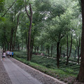 IMG_5437.jpg