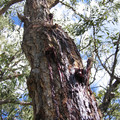 IMG_2260.JPG