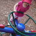 IMG_2430.jpg