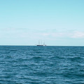 PICT0001.jpg