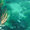 PICT0021.jpg