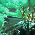PICT0023.jpg
