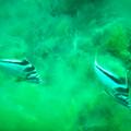 PICT0037.jpg