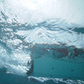PICT0047.JPG