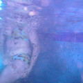PICT0058.JPG