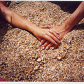 File0006.jpg