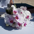 IMG_5902.jpg