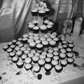 IMG_5937.jpg