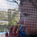 IMG_0832.jpg