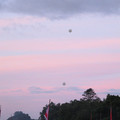 IMG_0174.jpg