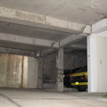IMG_3679.jpg