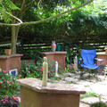 IMG_0795.jpg