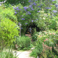 IMG_0796.jpg
