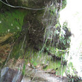 IMG_0683.jpg