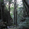 IMG_0255.jpg