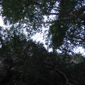 IMG_0256.jpg