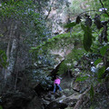 IMG_0260.jpg