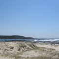 IMG_0350.jpg