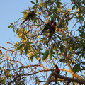IMG_0564.jpg