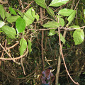 IMG_0613.jpg