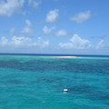IMG_0631.jpg