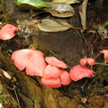 IMG_0647.jpg