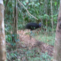 IMG_0658.jpg
