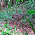 IMG_0660.jpg