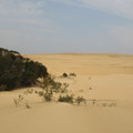 IMG_0475.jpg