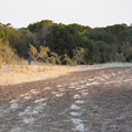 IMG_0514.jpg
