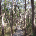 IMG_0529.jpg