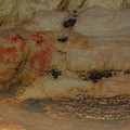 IMG_0873.jpg