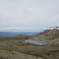 IMG_0809.jpg