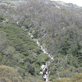 IMG_0826.jpg