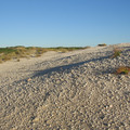 IMG_1001.jpg