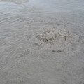 IMG_1022.jpg