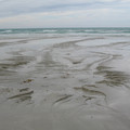 IMG_1026.jpg