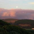 IMG_1061.jpg