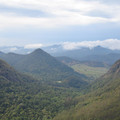 IMG_0392.jpg
