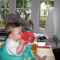 IMG_2225.JPG