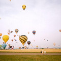 balloon14.jpg