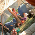 glasto_0171.jpg
