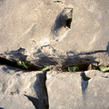 ireland_0953.jpg